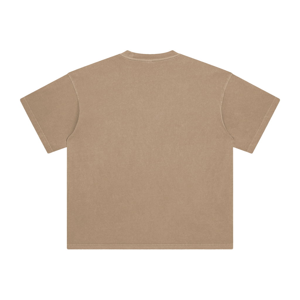 camel 2