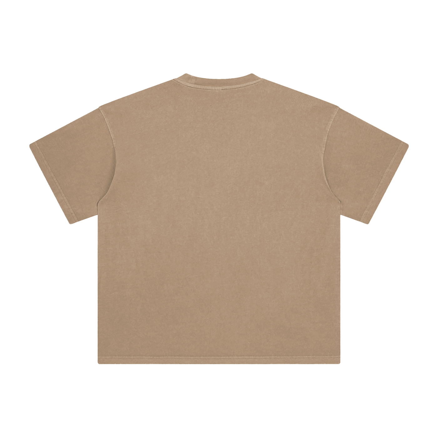 camel 2